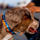 Wolfgang Multicolored Sunset palms Polyester Dog Adjustable Collar Large