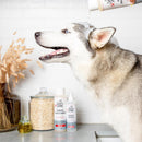 Skout's Honor Dog Soothing Itch Shampoo 16 oz 1 pk