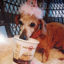 Puppy Scoops Ice Cream Mix Maple Bacon Grain Free Treats For Dogs 4.65 oz 1 pk