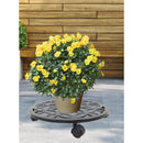 Living Accents 3 in. H Black Iron/Plastic Wheeled Plant Stand