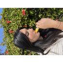 Resqme Green Whistle 1 in. H X 2 in. W X 5 in. L 1 pk