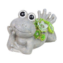 Exhart Assorted Resin 7.5 in. H Frog w/Succulents Statue, Pack of 4