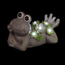 Exhart Assorted Resin 7.5 in. H Frog w/Succulents Statue, Pack of 4