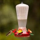More Birds Hummingbird 25 oz Plastic Nectar Bird Feeder 4 ports, Pack of 4