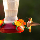 More Birds Hummingbird 25 oz Plastic Nectar Bird Feeder 4 ports, Pack of 4
