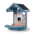 Bird Buddy 4 cups Plastic Perch Extender Smart-Enabled Smart Solar Camera Bird Feeder 1 ports