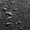 Blackstone Black Griddle Cover
