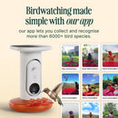 Bird Buddy Hummingbird 1.75 cups Plastic Smart-Enabled Smart Solar Camera Bird Feeder 3 ports