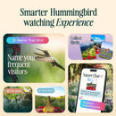 Bird Buddy Hummingbird 1.75 cups Plastic Smart-Enabled Smart Solar Camera Bird Feeder 3 ports