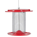Birds Choice Sunflower 3 lb. cap. Metal Hanging Bird Feeder