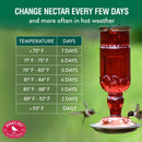 Perky-Pet Hummingbird 24 oz Copper/Glass Antique Bottle Nectar Bird Feeder 4 ports, Pack of 2