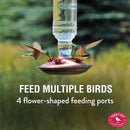 Perky-Pet Hummingbird 10 oz Glass/Metal Antique Bottle Nectar Bird Feeder 4 ports, Pack of 2