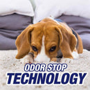 Resolve Pet Oxi Advanced No Scent Carpet Cleaner 22 oz Liquid, Pack of 6