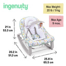 Keep Cozy 3-in-1 Grow with Me Baby Bouncer Rocker & Toddler Seat - Isle of Palms