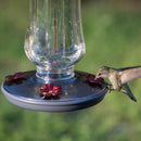 Perky-Pet Hummingbird 16 oz Glass/Metal Nectar Bird Feeder 4 ports, Pack of 2