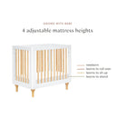 Lolly 4 in 1 Convertible Mini Crib and Twin Bed with Toddler Bed Conversion Kit - white/natural