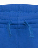 Nike Boys Club Shorts