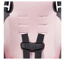 Finale 2-in-1 Booster Car Seat - Sweetberry