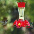 Perky-Pet Hummingbird 8 oz Glass/Plastic Pinch-Waist Nectar Bird Feeder 4 ports, Pack of 2