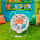 Comfy Baby Bouncer with Vibrating Infant Seat & Taggies