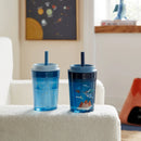 Kids' 14oz 2pk Dragon Single Wall Recycled Straw Tumblers Blue