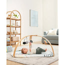 Skip Hop Discoverosity Play Gym