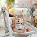 Swing 'N Go Portable Swing - Hugs & Hoots