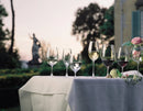 Champagne Glass Flute Set - Clear