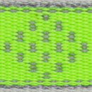 LupinePet Reflective Green Diamond Nylon Dog Adjustable Collar