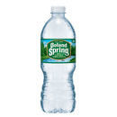 Nestle Waters Poland Springs Spring Water 20 oz 1 pk, Pack of 24