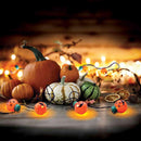 Magic Seasons Assorted 0 in. LED Spooky Light String Halloween Decor, Pack of 12