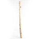 Second Nature Natural Birch Branches 32 in., Pack of 10