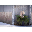 Second Nature Natural Birch Branches 32 in., Pack of 10
