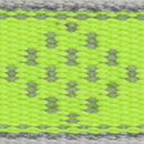 LupinePet Reflective Green Diamond Nylon Dog Adjustable Collar