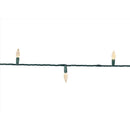 Celebrations Platinum LED C6 Warm White 50 ct String Christmas Lights 25 ft.
