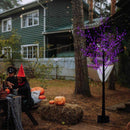 Celebrations Orange/Purple 350 ct 5 ft. LED Prelit Spooky Tree Yard Decor