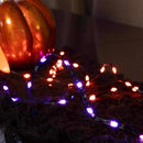 Celebrations Orange/Purple 100 ct LED Prelit Ribbon Lights