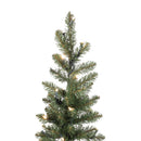Celebrations 5 ft. Slim LED 100 ct Diamond Potted Color Changing Entrance Tree
