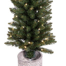 Celebrations 5 ft. Slim LED 100 ct Diamond Potted Color Changing Entrance Tree