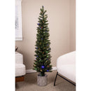 Celebrations 5 ft. Slim LED 100 ct Diamond Potted Color Changing Entrance Tree