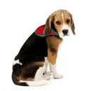 Dyno Pet Costume 2 pk, Pack of 12