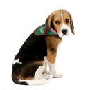 Dyno Pet Costume 2 pk, Pack of 12