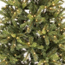 Holiday Bright Lights 1-2 Tree 7-1/2 ft. Full LED 450 ct Highland Spruce Color Changing Christmas Tr