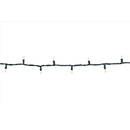 Celebrations Classic LED T5 Warm White 100 ct String Christmas Lights 24.75 ft., Pack of 12