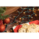 Celebrations Classic LED T5 Warm White 100 ct String Christmas Lights 24.75 ft., Pack of 12