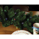 Celebrations Classic LED T5 Multicolored 100 ct String Christmas Lights 24.75 ft., Pack of 12