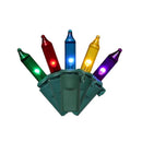 Celebrations Classic LED T5 Multicolored 300 ct String Christmas Lights 74.5 ft., Pack of 12
