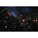 Celebrations Classic LED T5 Red 100 ct Net Christmas Lights 4 ft.