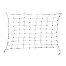 Celebrations Classic LED T5 Green 100 ct Net Christmas Lights 4 ft.