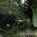 Celebrations 12 in. D X 9 ft. L LED Prelit Garland, Pack of 6